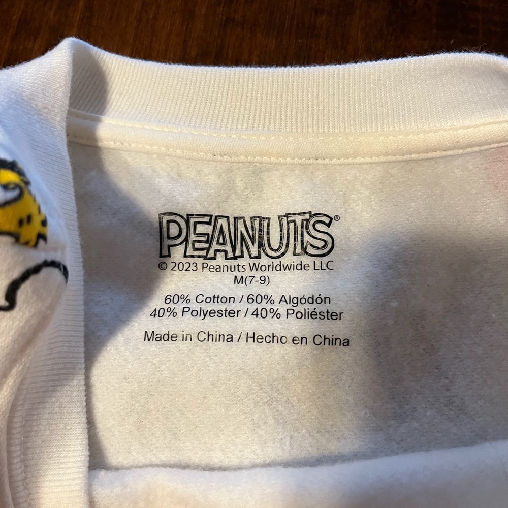 Peanuts Snoopy and Friends Graphic Sweatshirt